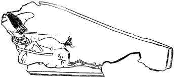 Обломок накладки от хазарского седла с изображением всадника с косами