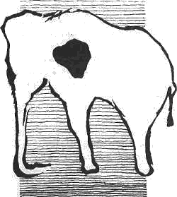 Мамонт для наших далеких предков был обыкновеннее волка. Возможно, не будь мамонтов, первобытным охотникам не пережить бы ледниковый период. Неудивительно, что охотники рисовали мамонтов на стенах пещер - так они приманивали добычу