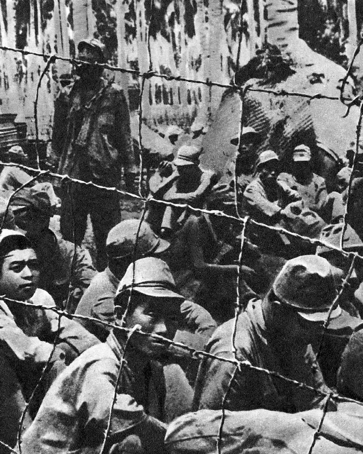 Японские пленные на Гуадалканале