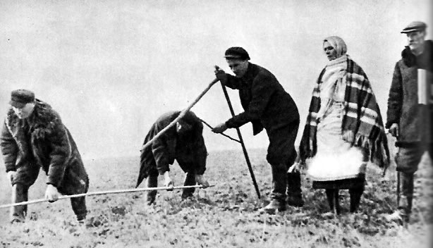 Раздел помещичьей земли. Деревня Соболево. Западная Белоруссия. 1940г.