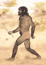 Человек умелый - Homo erectus